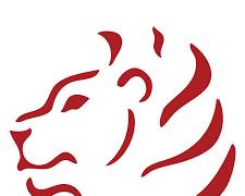 SafariBookings